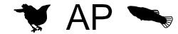 Ammon Perkes personal webpage